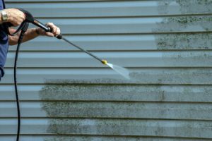 Vinyl Siding Cleaner